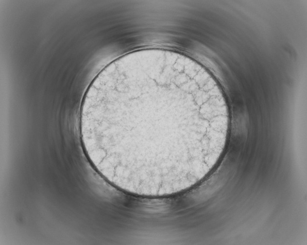 X0000112751338200909031519