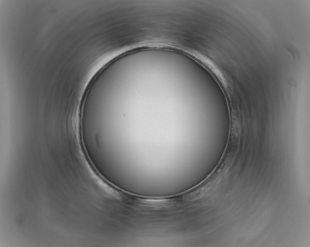 X0000112751343200909031519