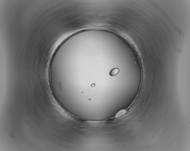 X0000112751344200909031519