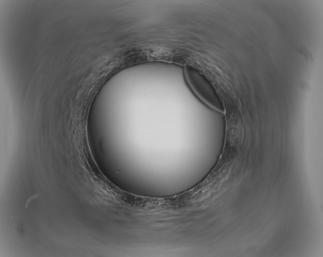 X0000112751345200909031518