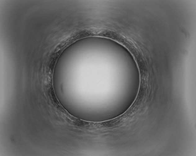 X0000112751349200909031518