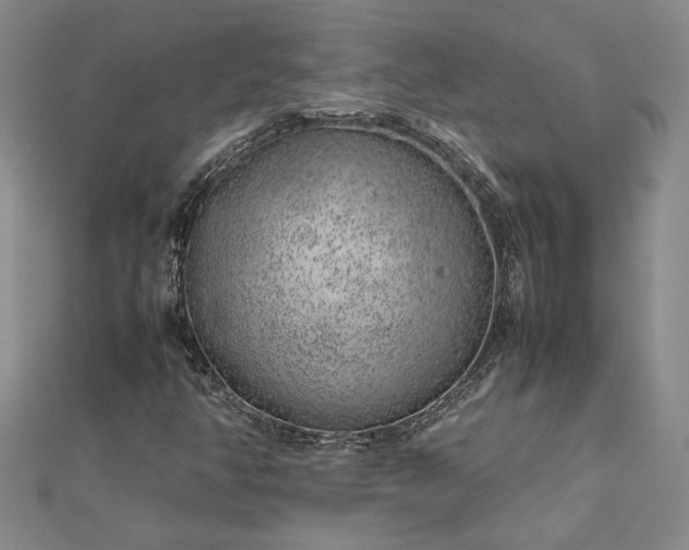 X0000112751350200909031518