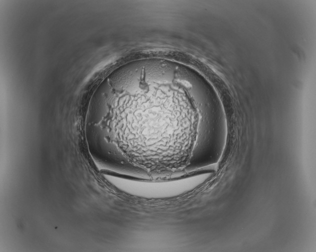 X0000112751351200909031518