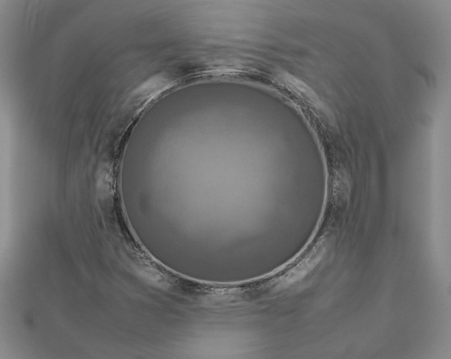 X0000112751353200909031518