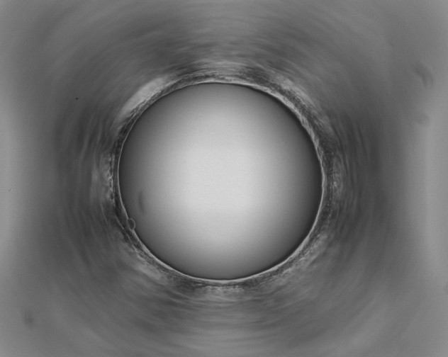 X0000112751354200909031518