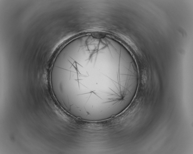 X0000112751356200909031518