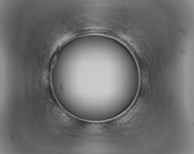 X0000112751357200909031518