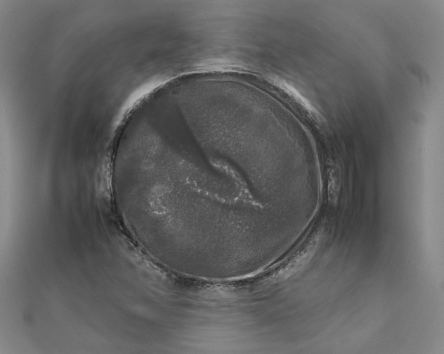 X0000112751358200909031518