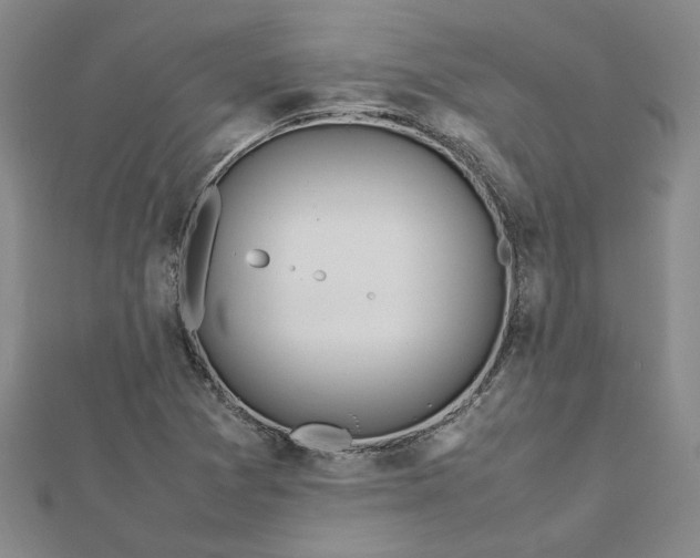 X0000112751361200909031518