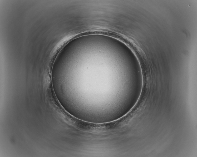 X0000112751363200909031518