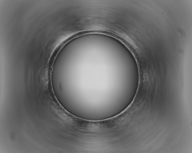 X0000112751364200909031518