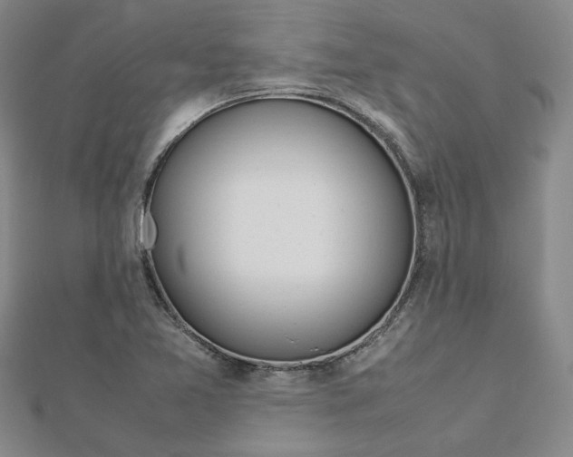 X0000112751365200909031518