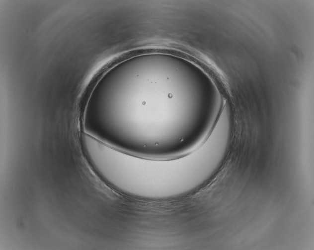 X0000112751368200909031518