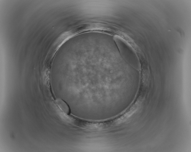 X0000112751369200909031518