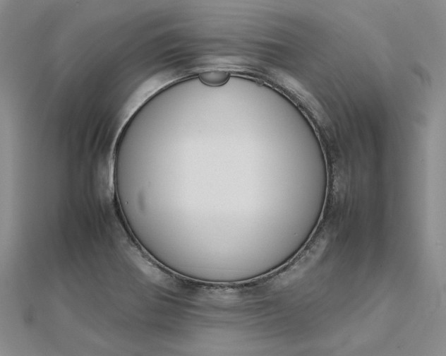 X0000112751370200909031518