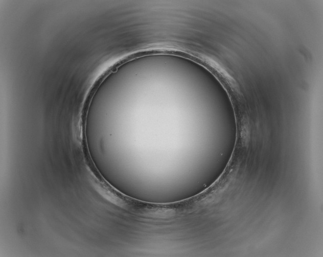 X0000112751372200909031518