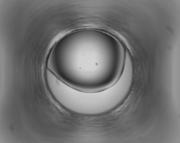 X0000112751373200909031517