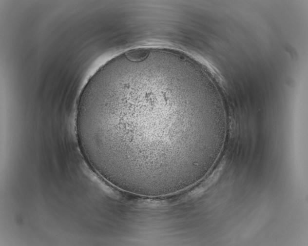 X0000112751374200909031517