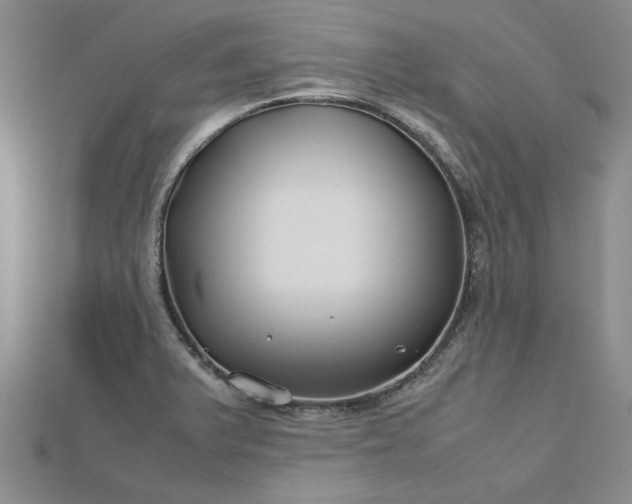 X0000112751375200909031517