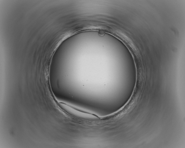 X0000112751377200909031517