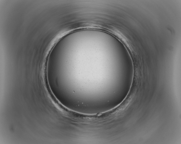 X0000112751379200909031517