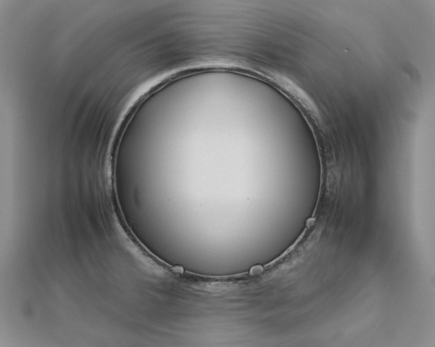 X0000112751380200909031517