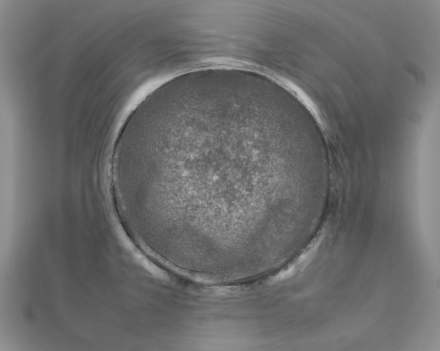 X0000112751381200909031517