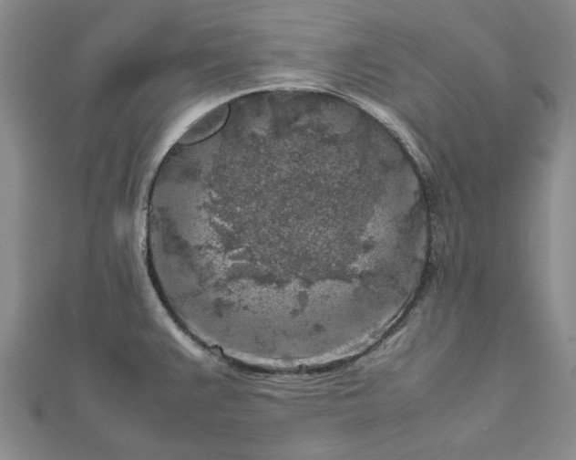 X0000112751383200909031517