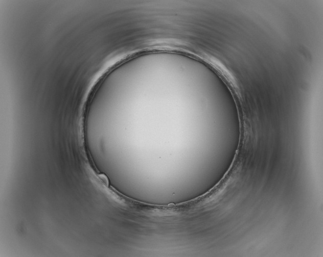 X0000112751384200909031517