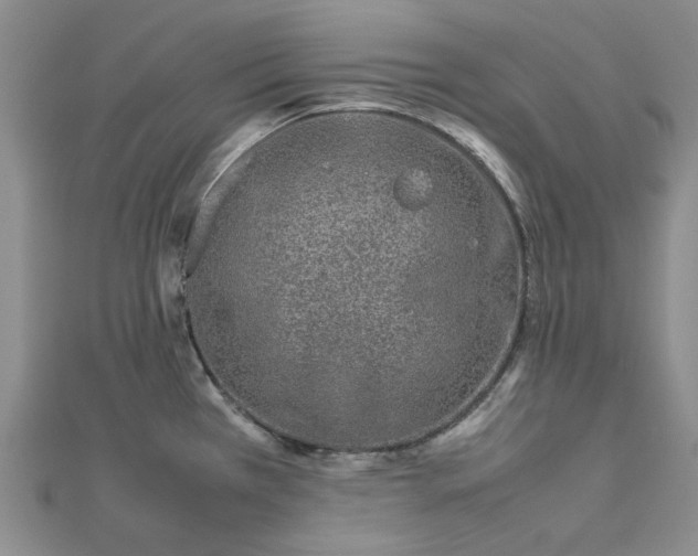 X0000112751385200909031517