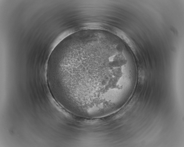 X0000112751386200909031517