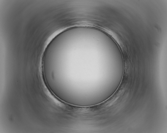 X0000112751387200909031517