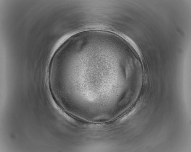 X0000112751389200909031517