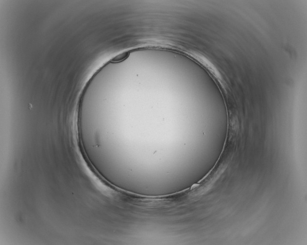 X0000112751391200909031517