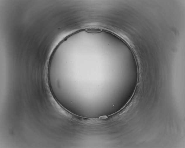 X0000112751392200909031517