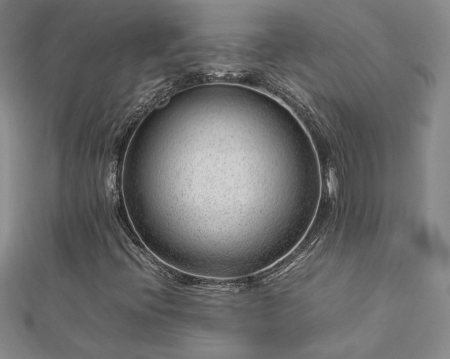 X0000112751396200909031517