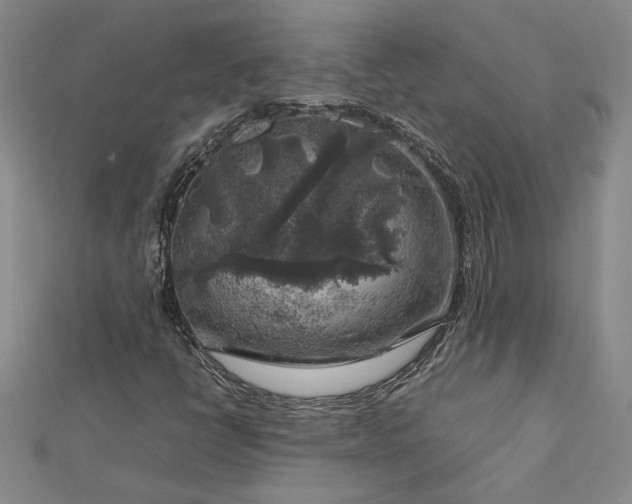 X0000112751398200909031517