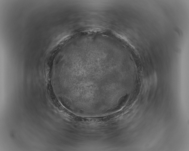 X0000112751399200909031517