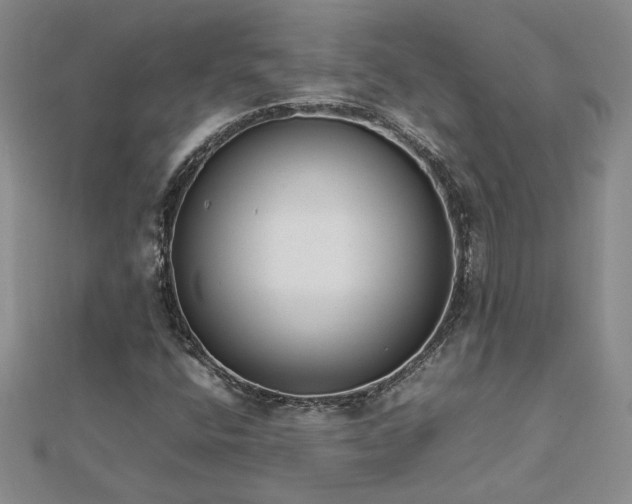 X0000112751400200909031517