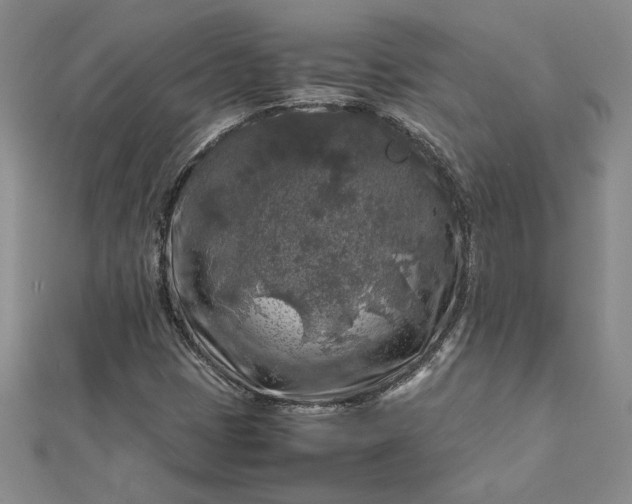 X0000112751401200909031517