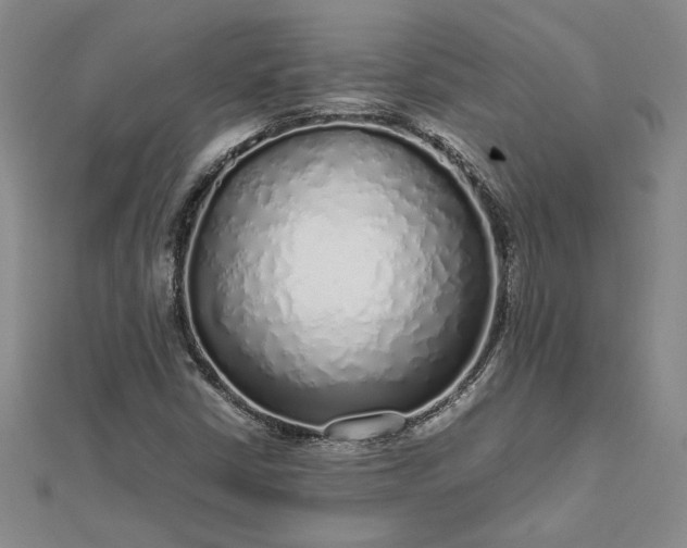 X0000112751402200909031517