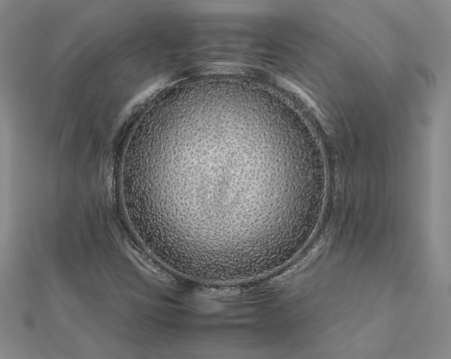 X0000112751403200909031517