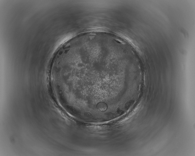 X0000112751405200909031517