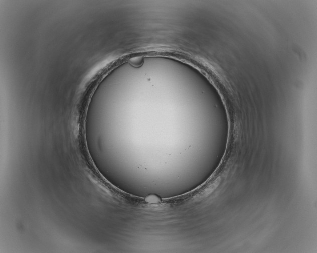 X0000112751406200909031517