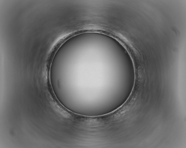 X0000112751408200909031517