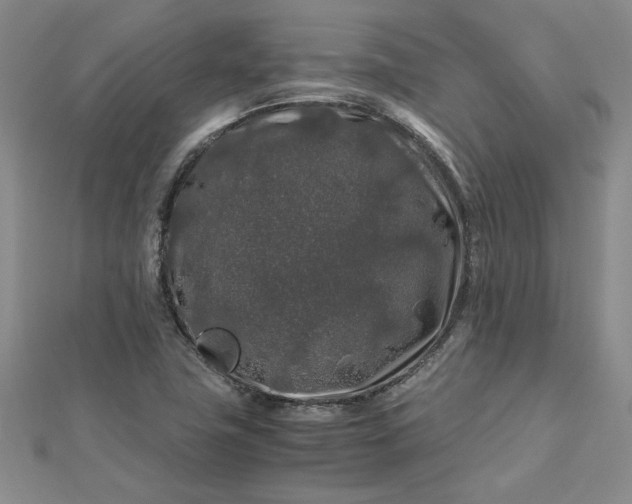 X0000112751411200909031517