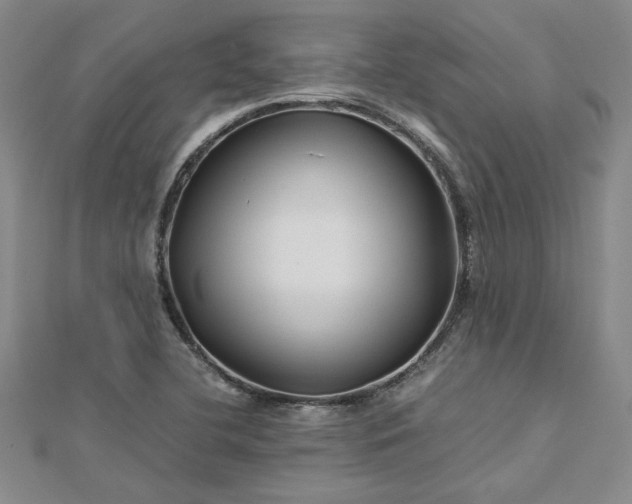 X0000112751412200909031517