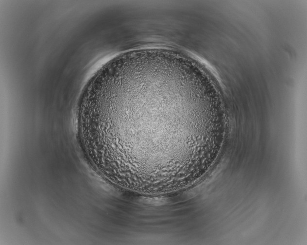 X0000112751415200909031517