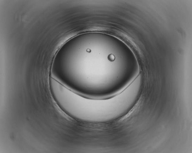 X0000112751417200909031517