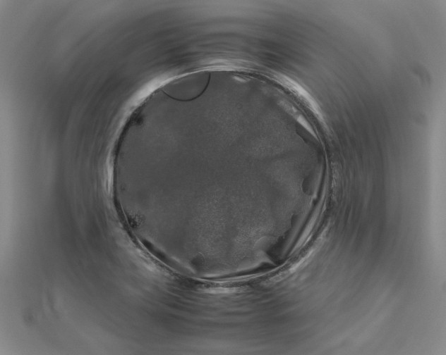 X0000112751419200909031517